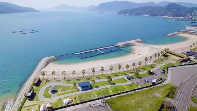 🐬 돌핀 팜 시마나미